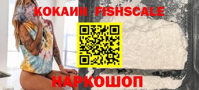 индика Ирбит