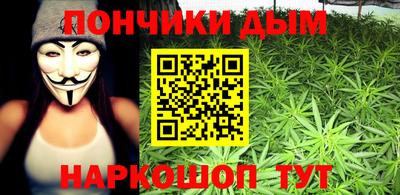 индика Ирбит