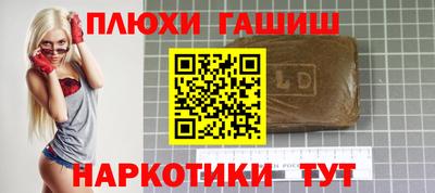 индика Ирбит