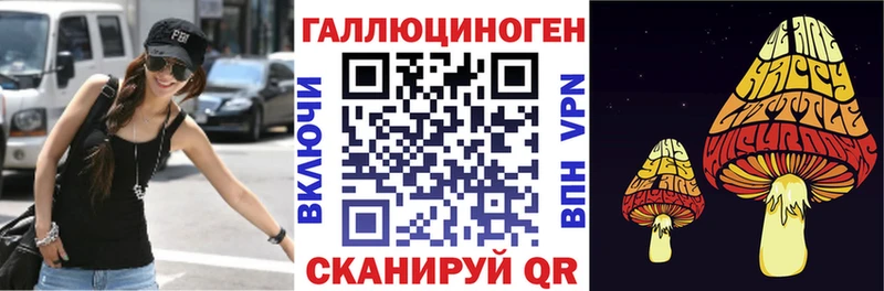 Псилоцибиновые грибы GOLDEN TEACHER  Кисловодск 