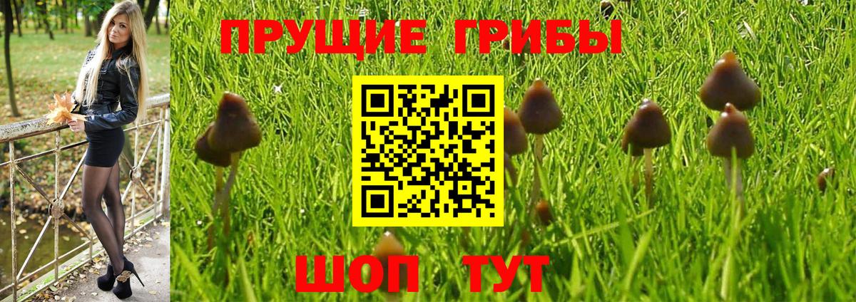 Кисловодск  Псилоцибиновые грибы мухоморы  Вход с VPN 